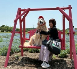 観光農園花ひろば