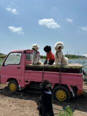 観光農園花ひろば