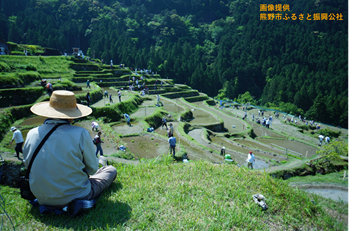 丸山千枚田 作業風景イメージ