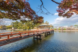 九華公園の風景。池の上に赤い欄干の橋と東屋がある