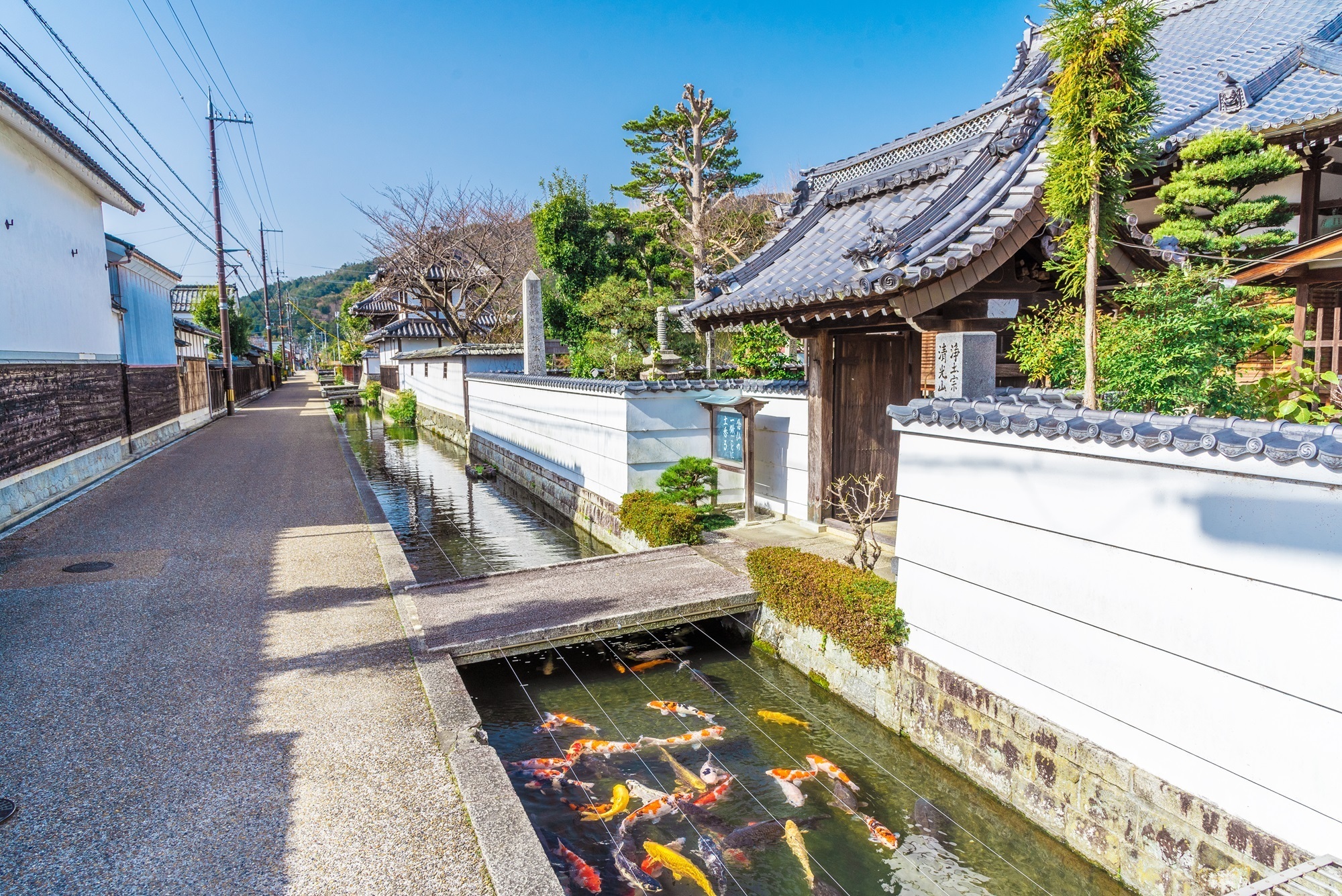 五個荘ぶらりまち歩き～近江商人発祥の地へ～（滋賀県東近江市：3月14
