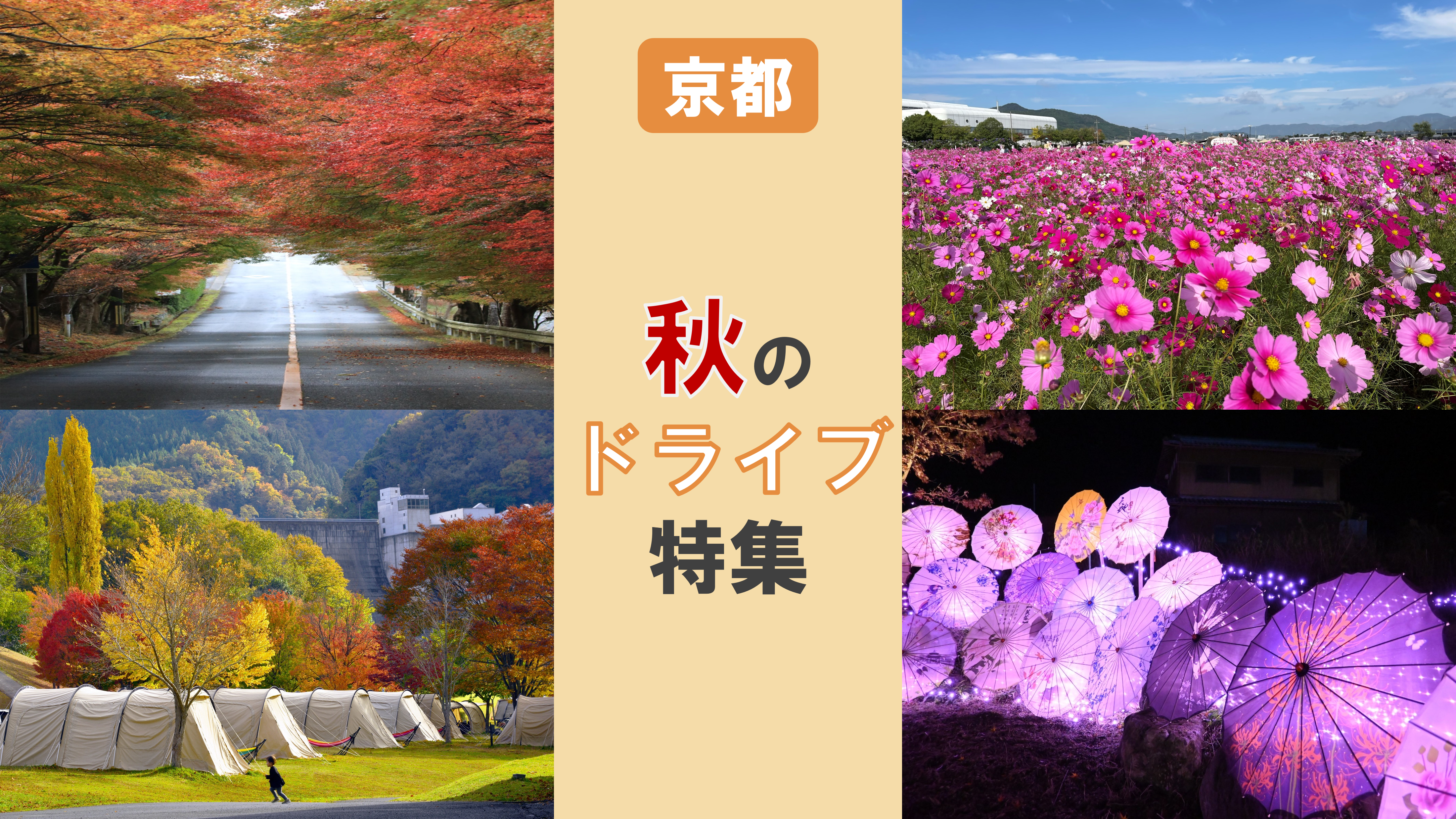 美しい日本 京都の四季