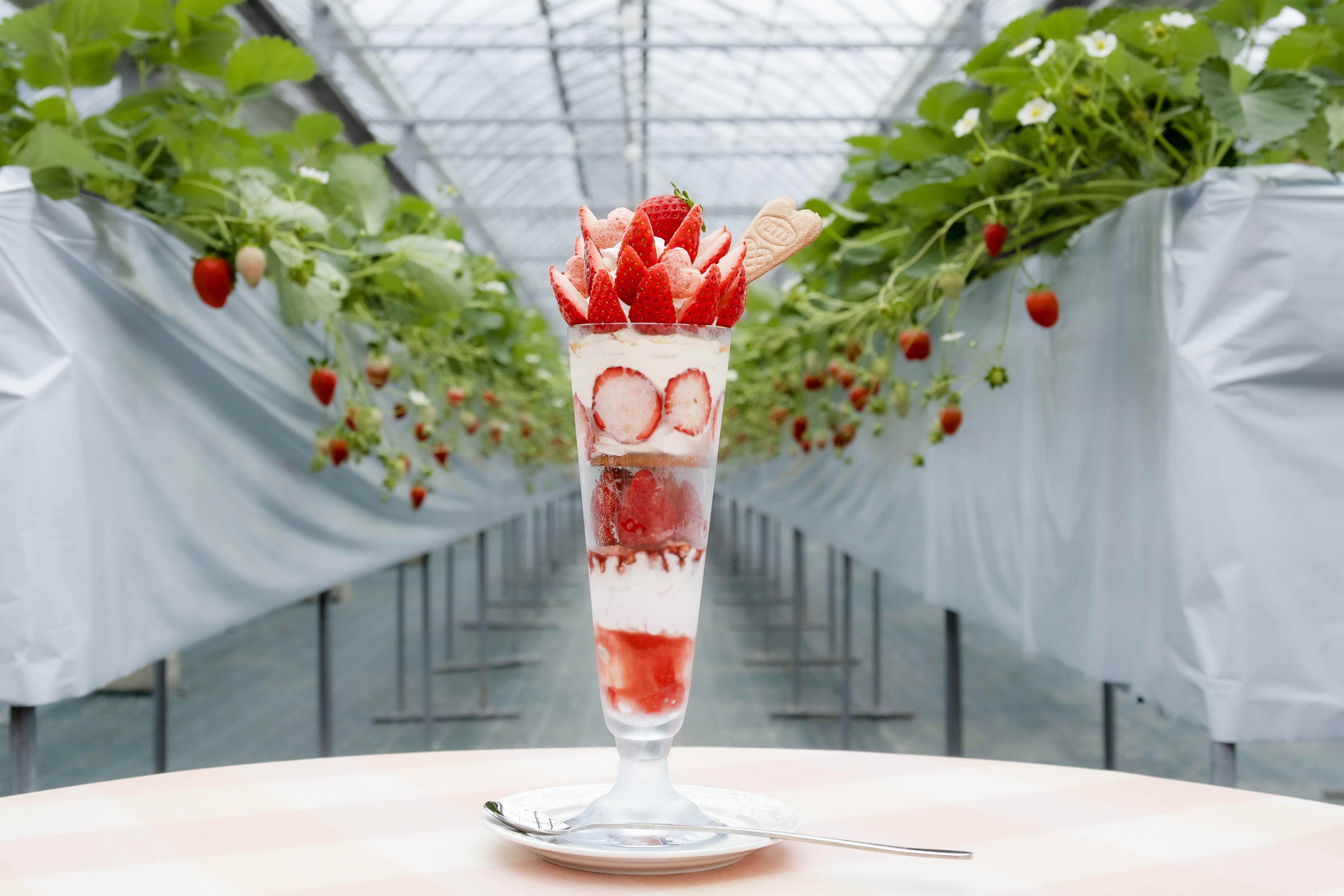 山田みつばち農園【対象のスイーツ10％割引】 | JAFナビ