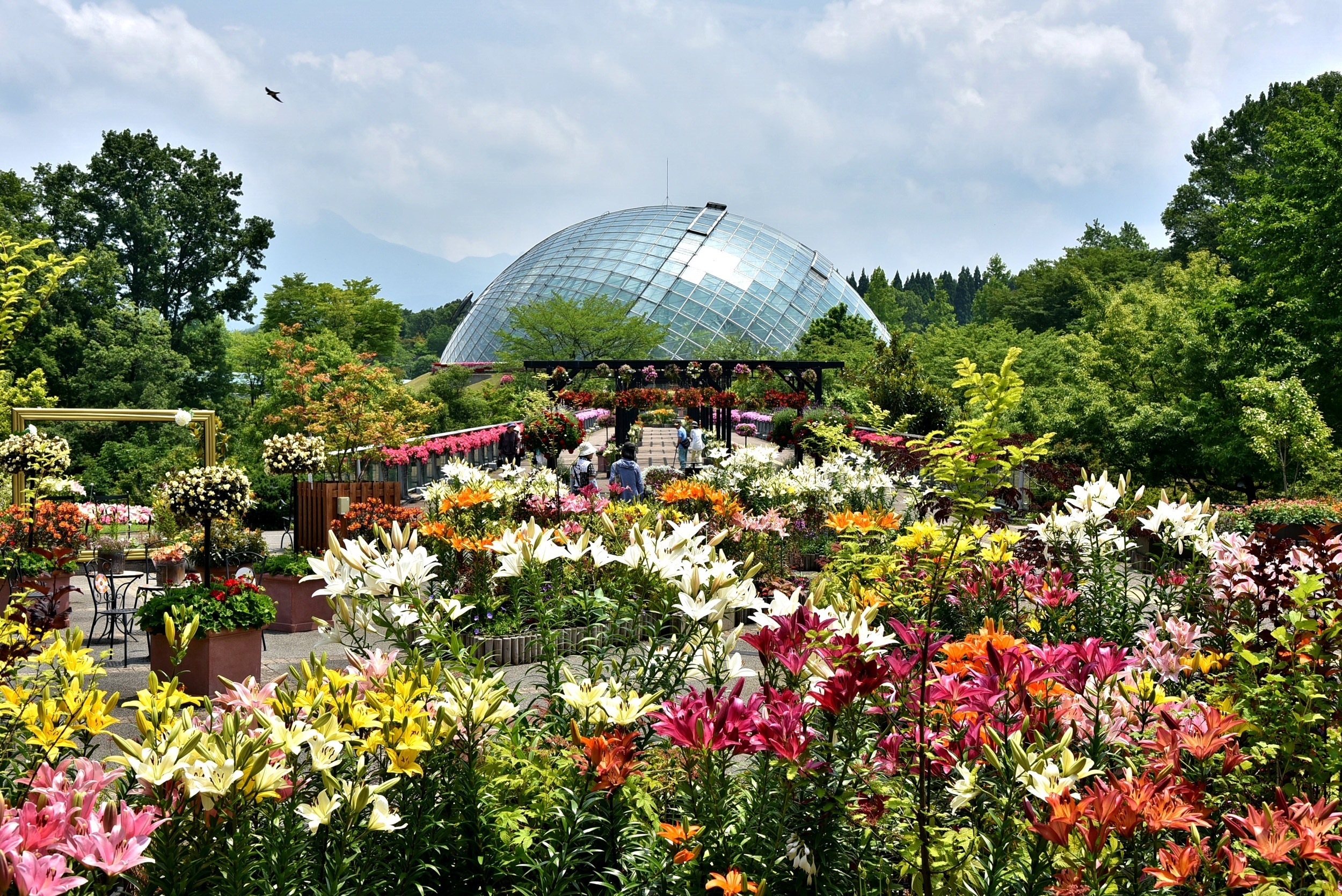 山陰・山陽花めぐり街道ドライブスタンプラリー2026 | JAFナビ