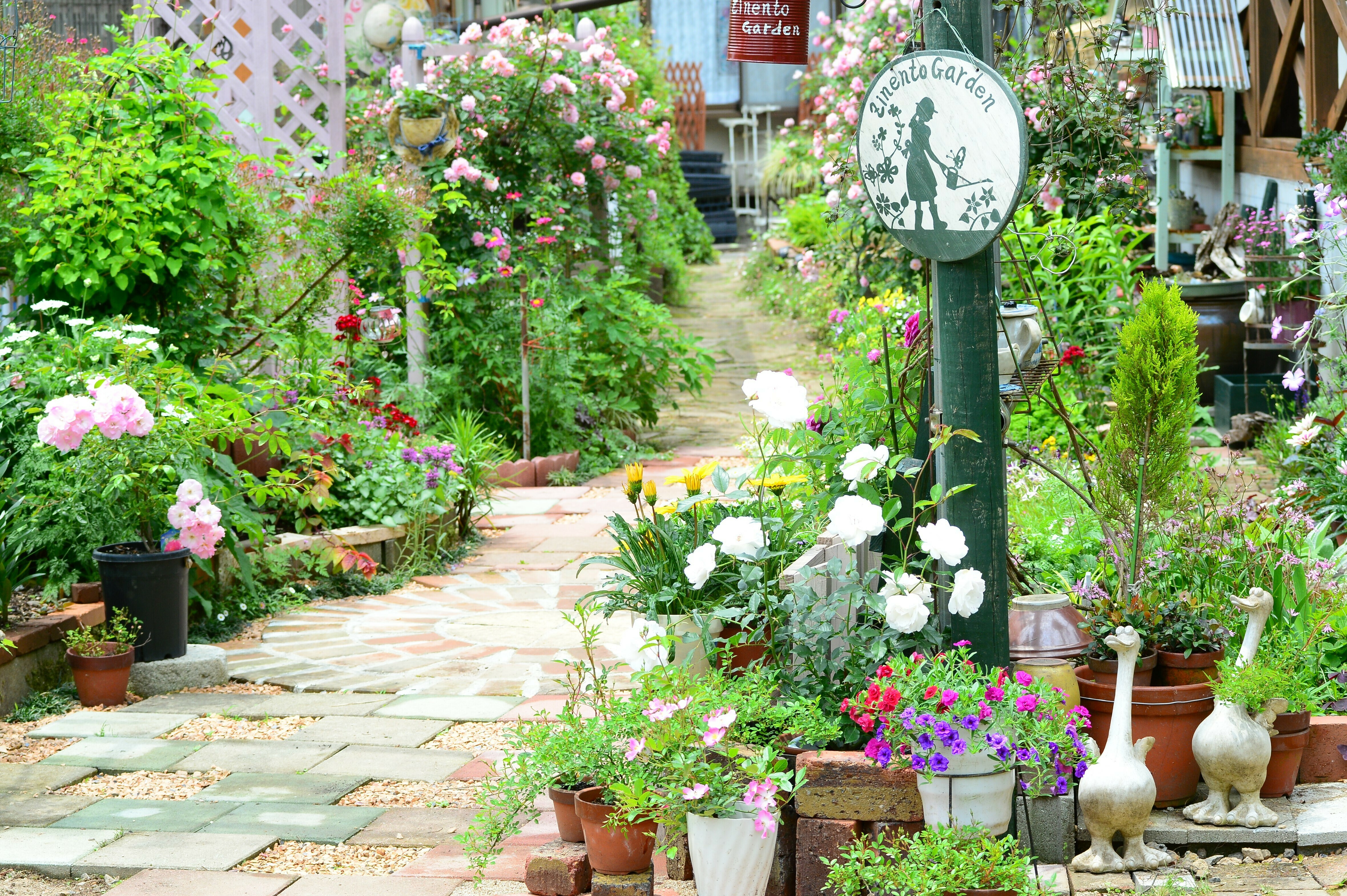 山陰・山陽花めぐり街道ドライブスタンプラリー2026 | JAFナビ