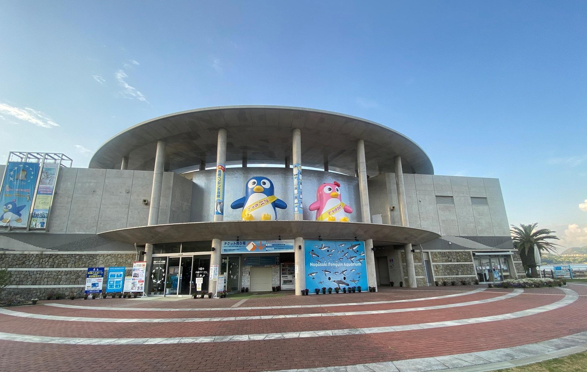 長崎ペンギン水族館 ポストカード1枚進呈 Jafナビ 長崎ペンギン水族館 ポストカード1枚進呈 Jafナビ